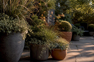10 Outdoor Planter Styling Ideas That Match Planting Formula to Pots